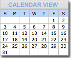 Calendar View